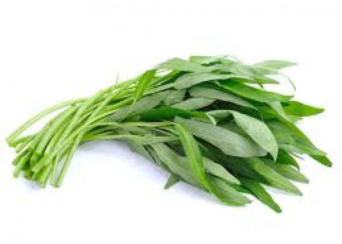 Simak! Begini Cara Menyimpan Kangkung Agar Tak Cepat Layu