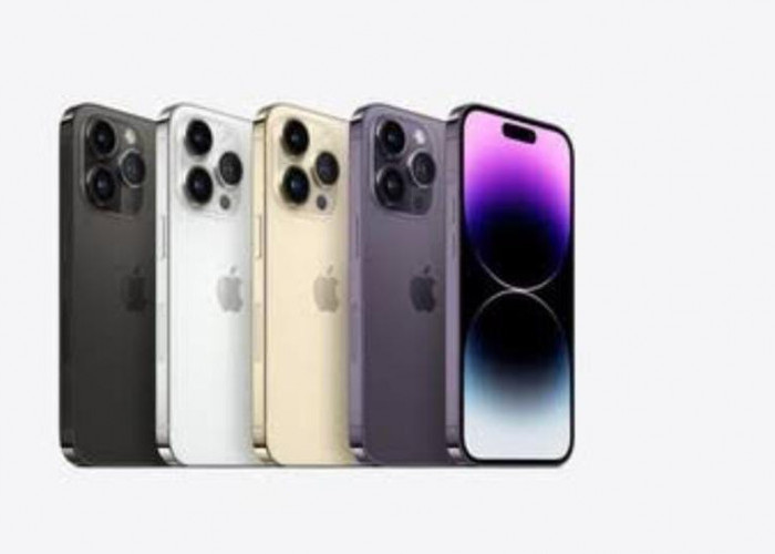 Harga iPhone 14 Pro Max Terbaru Januari 2025, Sudah Semakin Terjangkau