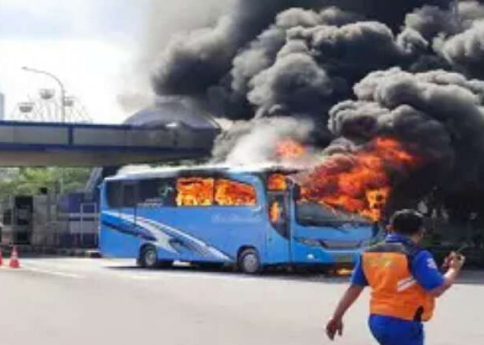 Bus Terbakar Hebat di Pintu Tol Menanggal, Mengangkut Rombongan Dosen dan Mahasiswa
