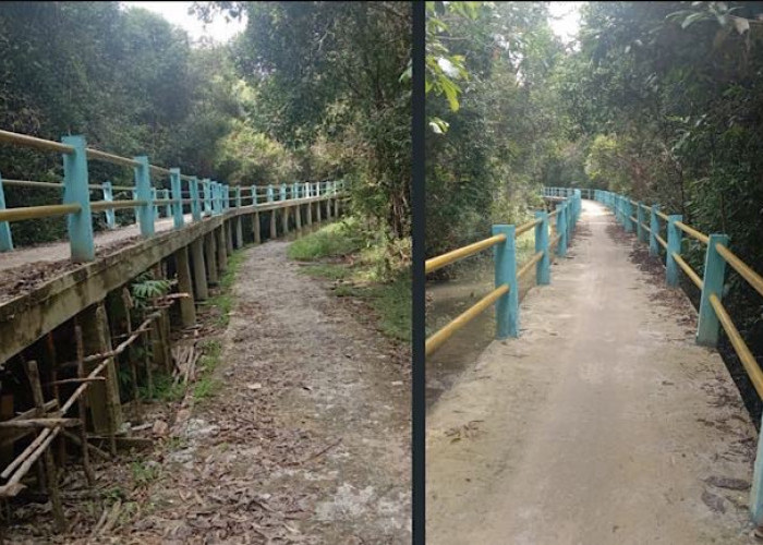 Jembatan Titian di Prabumulih Rampung, Permudah Warga Angkut Hasil Panen, Dibangun 3 Tahap Pakai Dana Bangub