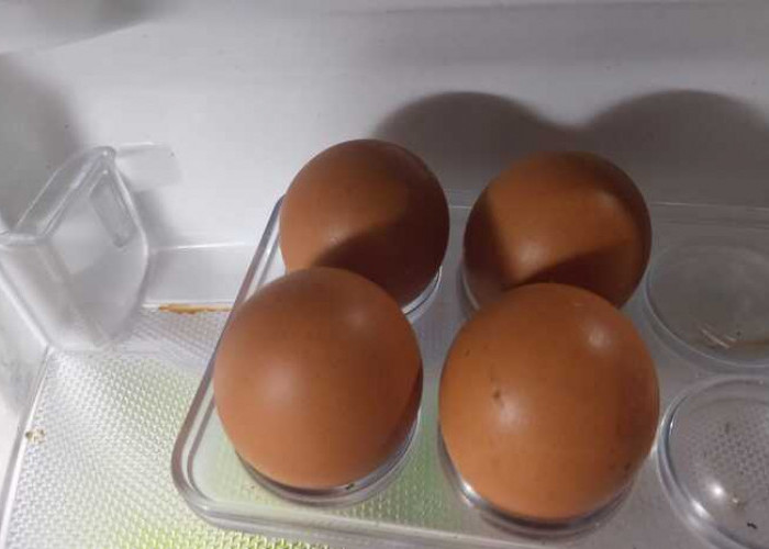 Ini 5 Manfaat Telur untuk Kesehatan