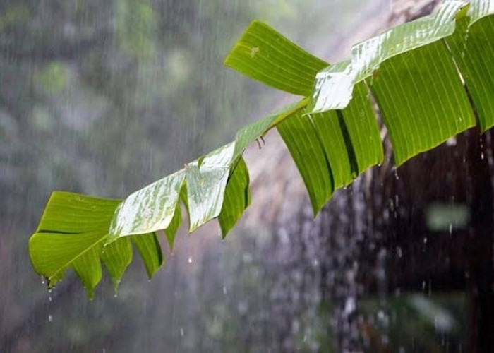 15 Wilayah Sumsel Diperkirakan Bakal Hujan Hari ini