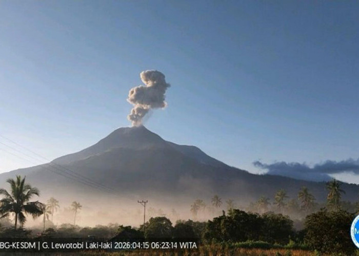 Gunung Lewotobi Laki-laki Kembali Meletus