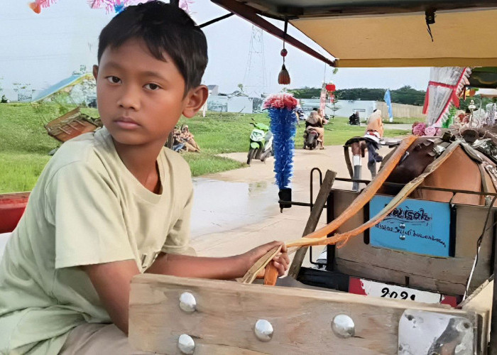 Demi Bantu Ortu, Habibi Rela Jadi Kernet Delman