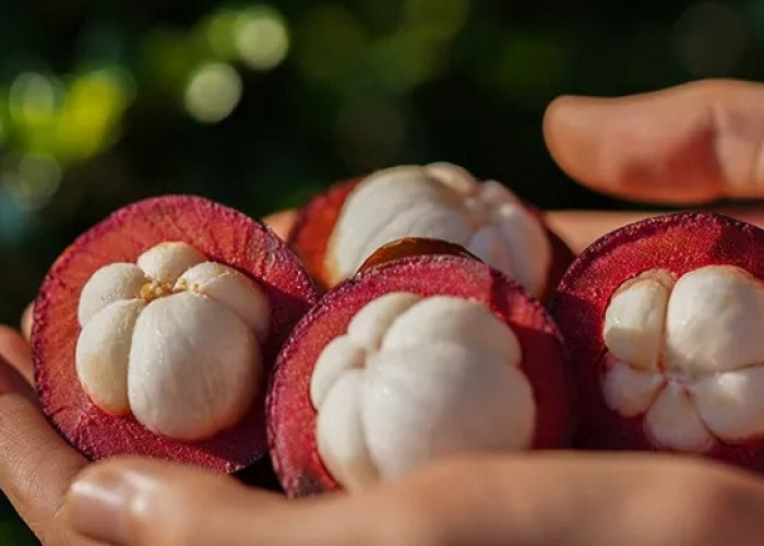 3 Manfaat Buah Manggis, Bantu Jaga Kesehatan Pencernaan
