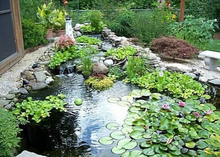 Inilah 6 Jenis Tanaman Air Terbaik untuk di Kolam Ikan Rumahmu