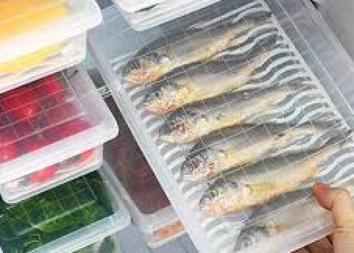 Simak! ini Masa Simpan Ikan Di Kulkas Agar Tetap Segar dan Aman Dikonsumsi