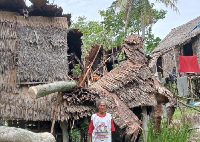 Terjadi Di Pemulutan Selatan. Ditimpa Pohon Gubuk Reyot Milik Nenek Zulma Terbelah Dua