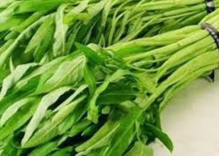 5 Tips Menyimpan Kangkung agar Tetap Segar dan Tidak Mudah Layu