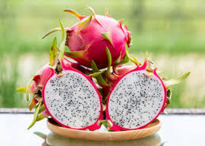 12 Khasiat Buah Naga Merah untuk Kesehatan Tubuh