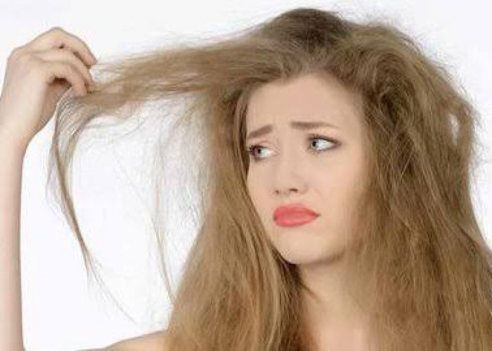 Inilah 9 Tips Mengatasi Rambut Kering dan Mengembang, Lebih Halus!