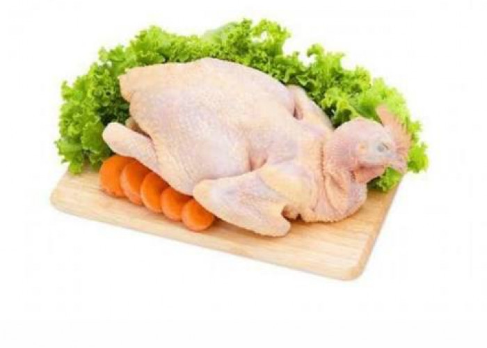 Kenapa Daging Ayam Kampung Lebih Sehat? Simak Disini Faktanya