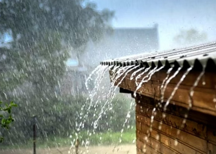 Prakiraan Cuaca Sumsel Hari ini: 6 Wilayah Bakal Hujan Disertai Angin Kencang