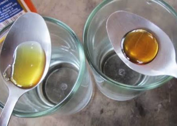 Ketahui Perbedaan Mana Madu Asli dan yang Palsu