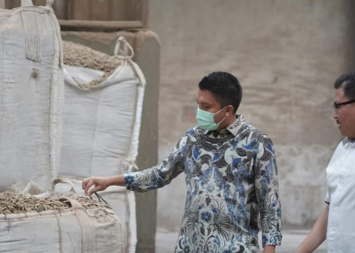 Pemkab Ogan Ilir Pelajari Pengembangan Pelet Biomassa di Sumut 