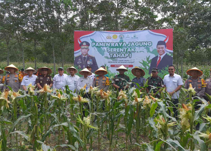 Kapolda Sumsel Ikut Panen Raya Jagung Serentak di Ogan Ilir