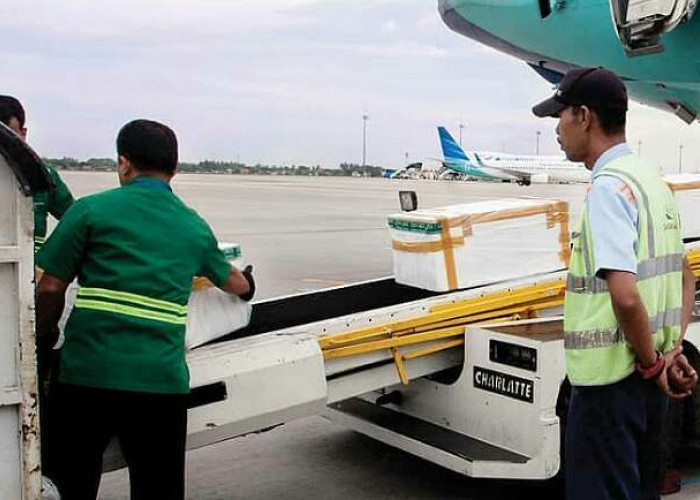2 Kg Ganja Gagal Masuk Berkat Kejelian Petugas Kargo Bandara SMB II Palembang, Disamarkan Kerupuk Kemplang 