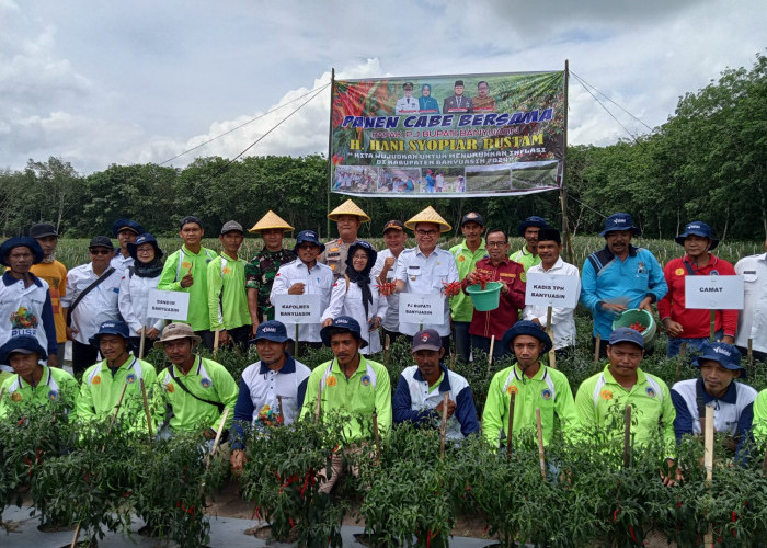 Kendalikan Inflasi, Pemkab Banyuasin Panen Cabe