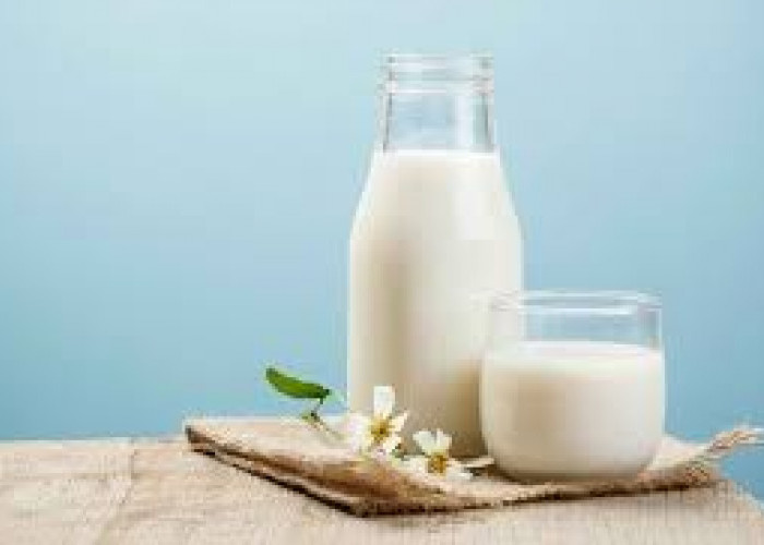 Simak! ini Beberapa Minuman Sehat Selain Air Putih