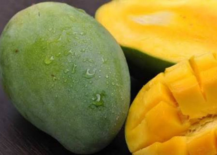 Simak! Begini Cara Membedakan Mangga Sudah Matang atau Belum