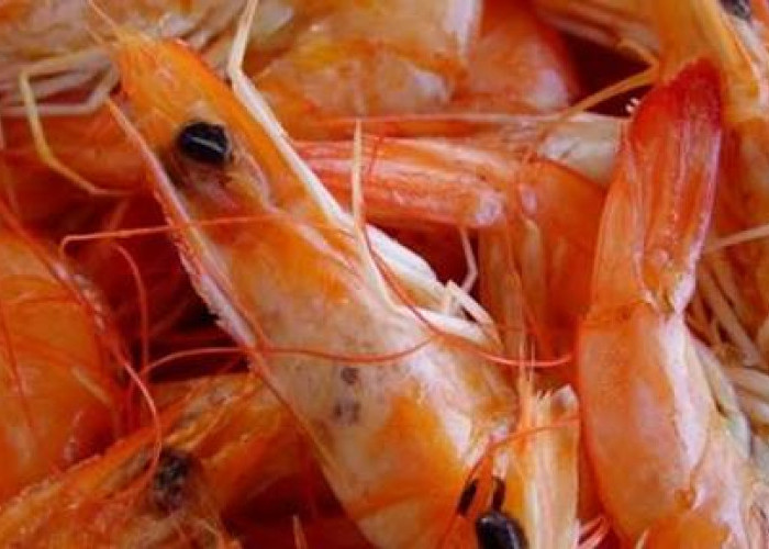 Simak! Inilah Bagian Udang yang Boleh dan Tidak Boleh Dikonsumsi