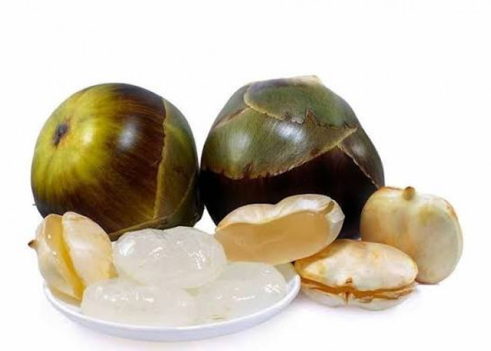 Inilah 8 Manfaat Buah Lontar untuk Kesehatan Tubuh