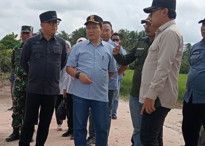 Wamendagri Tegaskan Alasan Pelantikan Kepala Daerah Diundur