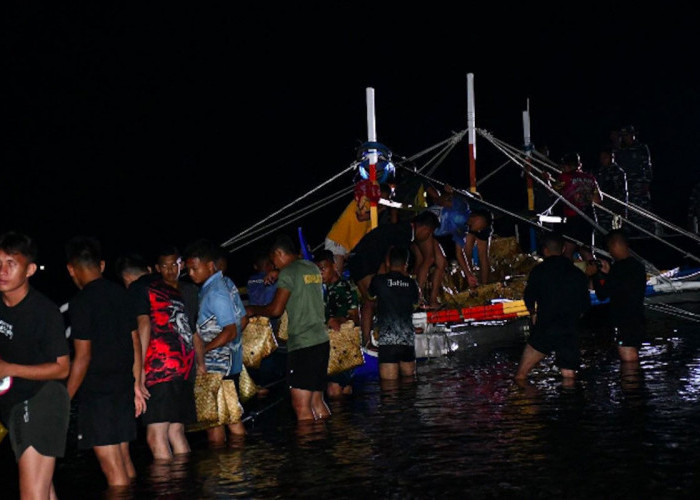 Ayam Ras Filipina Gagal Masuk Indonesia Berkat Peranan TNI AL