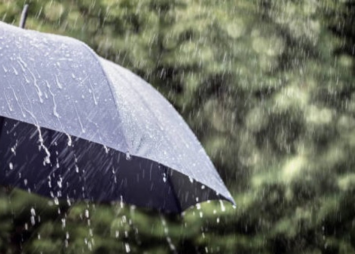 Prakiraan Cuaca Sumsel Hari ini Sabtu 8 November 2025, Waspada Potensi Petir dan Angin Kencang