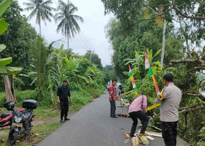 Jalan Longsor di Desa Pandan Arang Ogan Ilir, Polsek Rantau Alai Pasang Police Line 