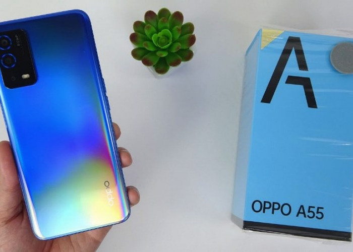 OPPO A55 Turun Harga, Pas di Kantong Mahasiswa