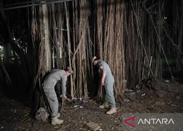 Satpol PP Jaktim Temukan  Alat Kontrasepsi di Hutan Kota UKI