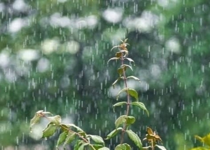 Ogan Ilir dan 10 Wilayah Sumsel Diperkirakan Bakal Hujan ini