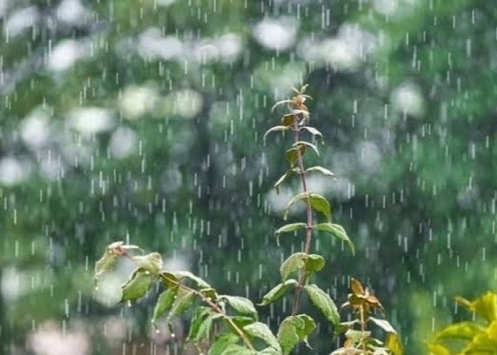 11 Wilayah Sumsel Diperkirakan Bakal Hujan Hari ini