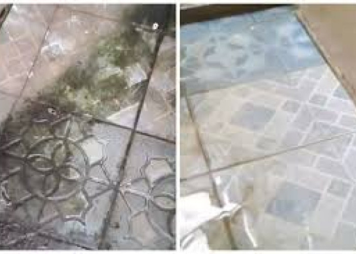 Simak! Ternyata 3 Bahan ini Ampuh Bersihkan Kamar Mandi agar Tak Berlumut