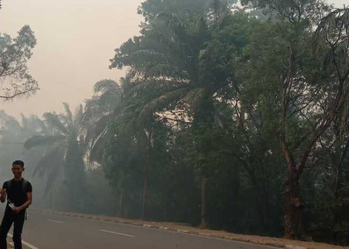 Hutan Lanud Srimulyono Herlambang Terbakar, Helikopter Wara Wiri Lakukan Water Bombing