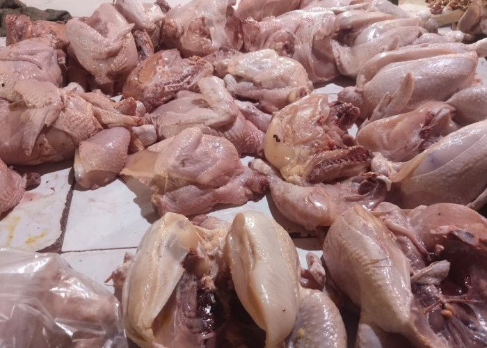 Jelang Bulan Ramadan, Harga Telur-Ayam di Palembang Naik