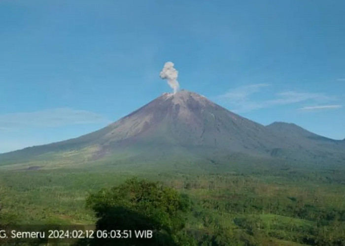 Gunung Semeru Kembali Erupsi, PVMBG Imbau Masyarakat tak Lakukan Aktivitas Radius 13 km