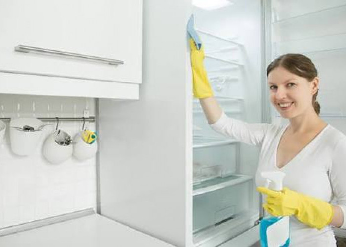 Tips Membersihkan Kulkas yang Benar dan Tetap Higienis