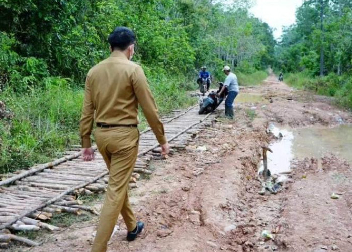 Bupati Panca Tinjau Peningkatan Ruas Jalan Desa Kuang Dalam - Desa Beringin