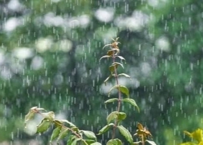 Ogan Ilir dan 7 Wilayah Sumsel Diperkirakan Bakal Hujan Hari ini