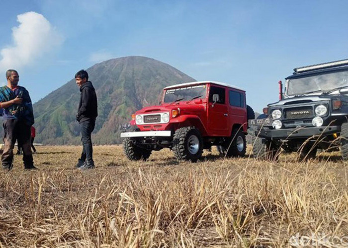Pengelola TNBTS Didemo Sopir Jip, ini Penyebabnya