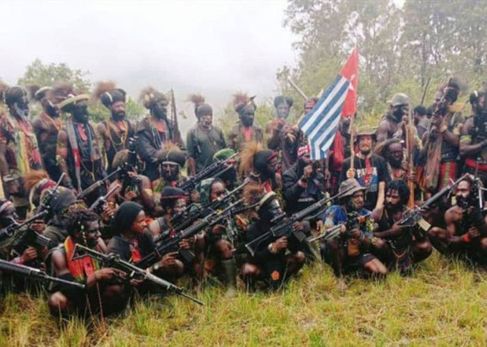 Anggota KKB Ditembak, ini Rekam Jejaknya Meneror Warga Papua
