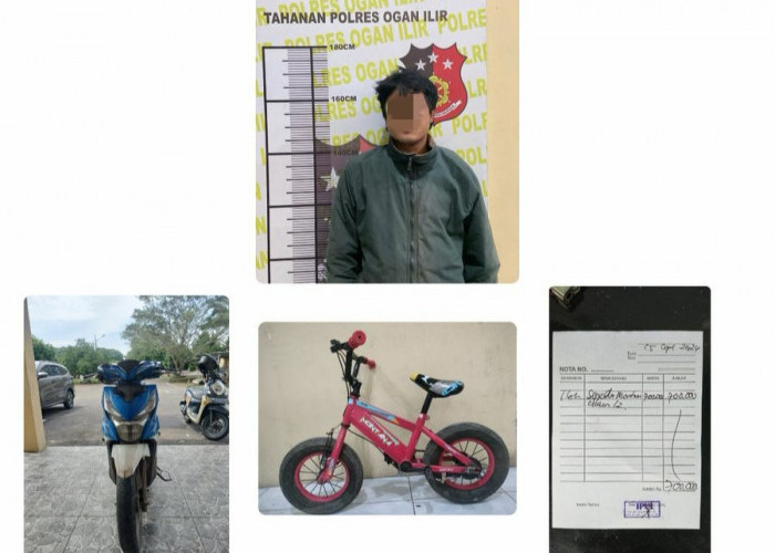 Ibu Selamat  Motor  Anaknya,  Pelaku Berhasil  Ditangkap, Terjadi  Di Desa Mwkar Sari Ogan Ilir