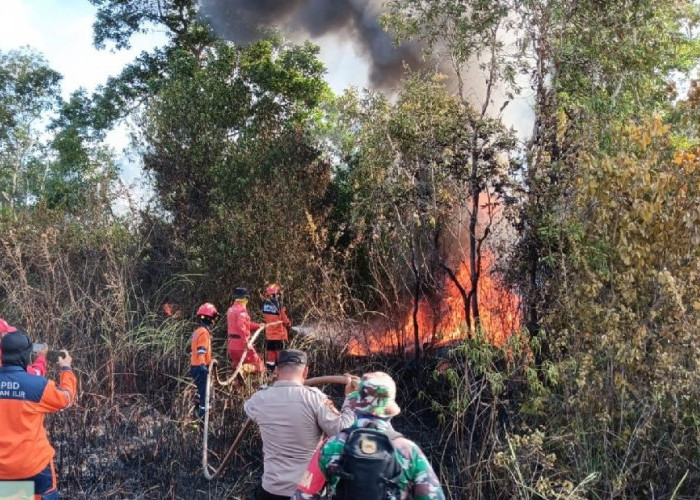 Karhutla di Sungai Rambutan Ogan Ilir Berkobar