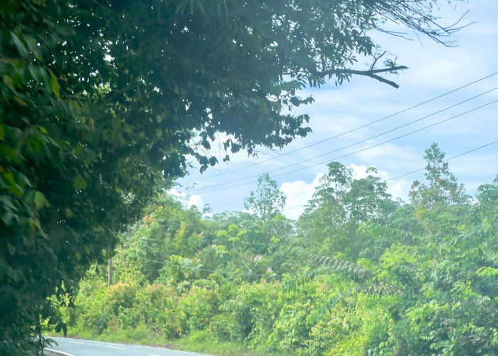 Warga Nilai Positif Kinerja Muchendi–Supri, Infrastruktur dan Layanan Publik Membaik