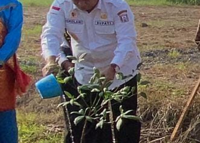 Bupati Banyuasin Luncurkan Gerakan Kawasan Buah