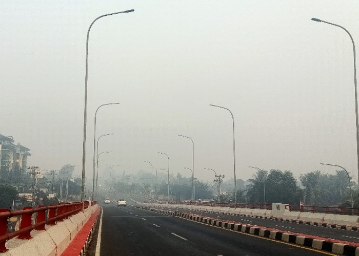 Prakiraan Cuaca Sumsel Hari ini, 4 Wilayah Potensi Karhutla dan Kabut Asap