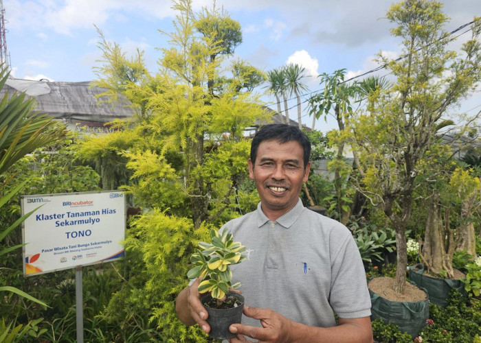 Pedagang Tanaman Hias Kota Batu Berkembang Berkat Dibina Bank BRI
