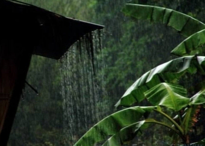 9 Wilayah Sumsel Diperkirakan Bakal Hujan Hari ini 